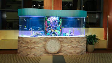 7:00 AM: Tanked (S4) | Discovery Channel | 3/27 2026