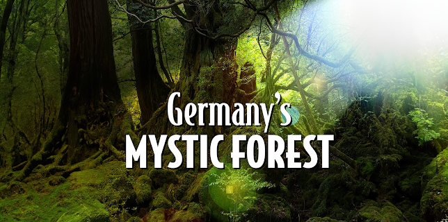Germany's Mystic Forest (2022)