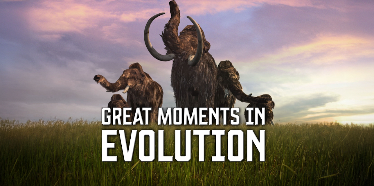 Great Moments in Evolution