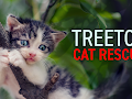 Treetop Cat Rescue