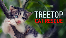 Treetop Cat Rescue (S1 E6)