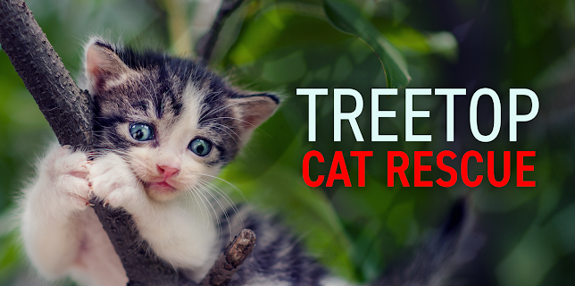 8:30 PM: Treetop Cat Rescue (S1 E2) (S1) | Animal Planet | 11/9 2025