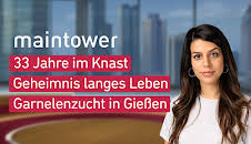 maintower
