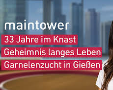 maintower