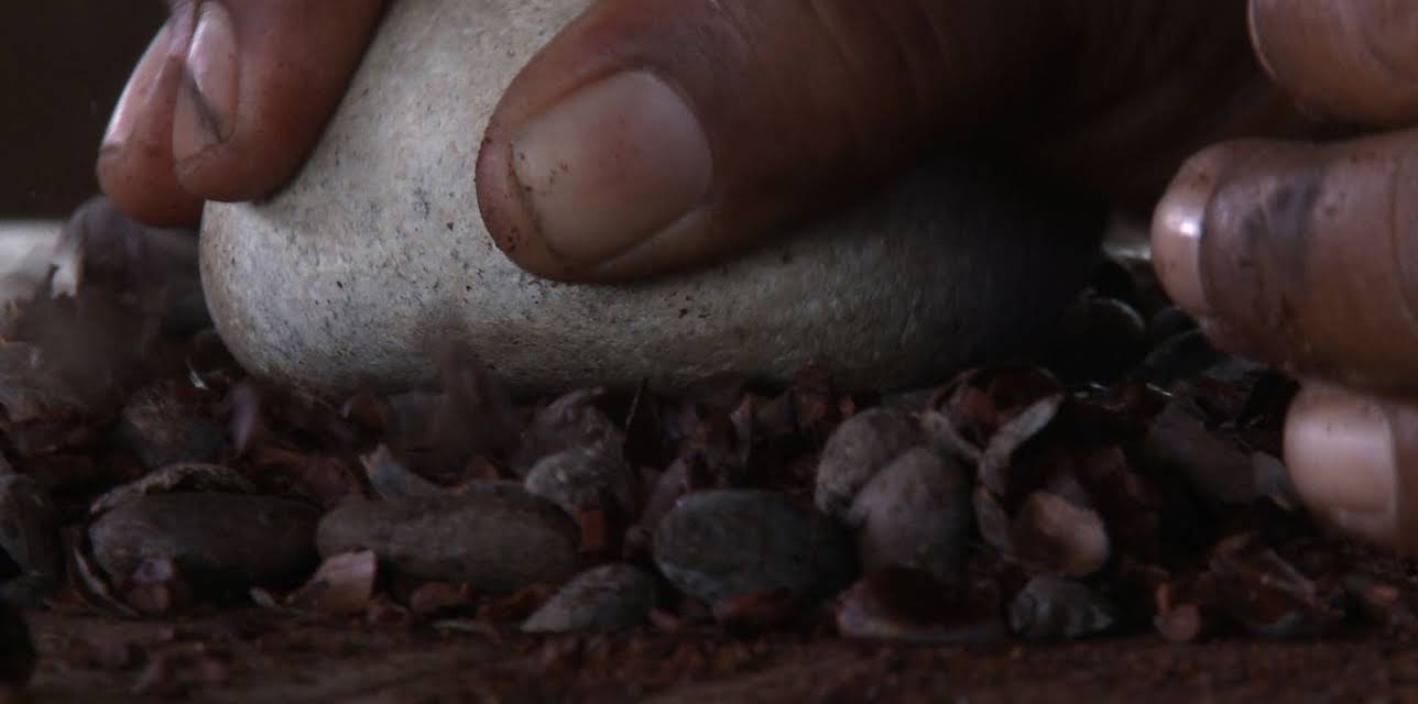 The Chocolate Farmer (2011)