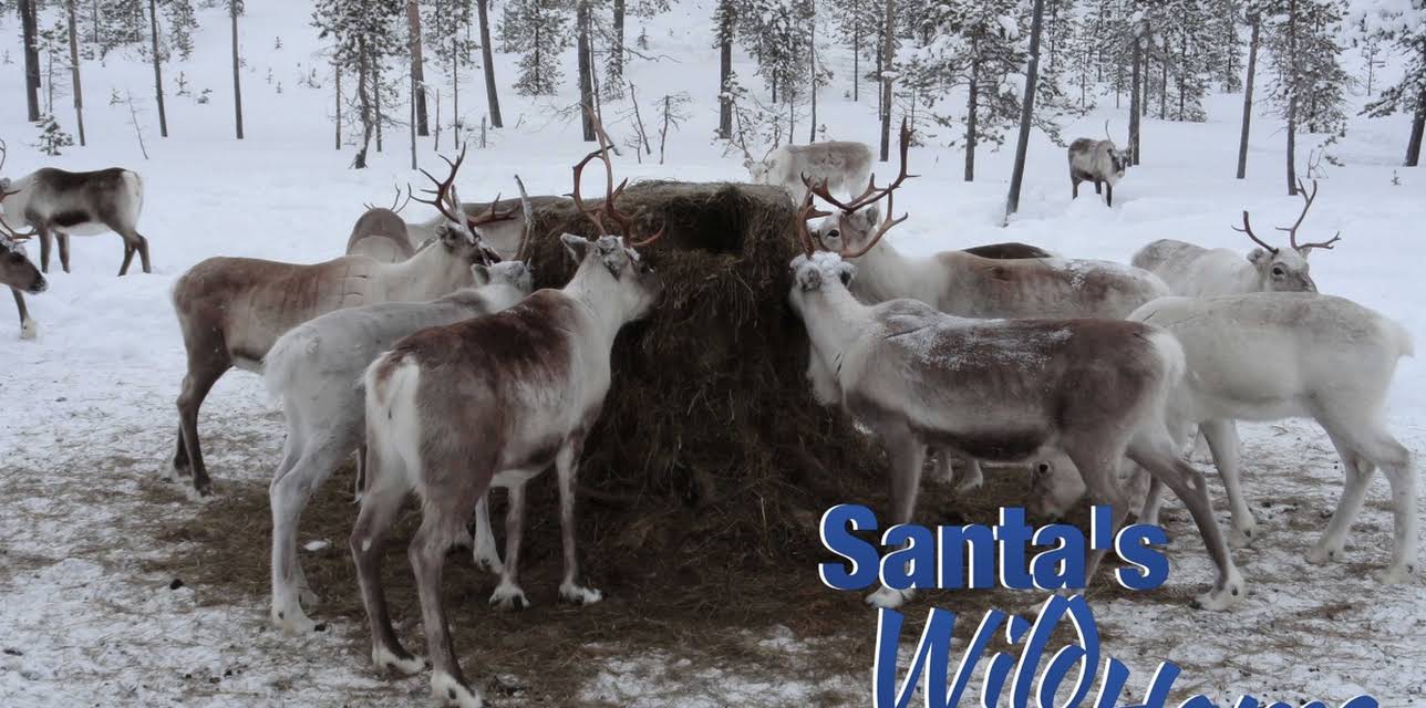 Santa's Wild Home (1982)