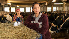 Die Fallers - Die SWR Schwarzwaldserie (1298)