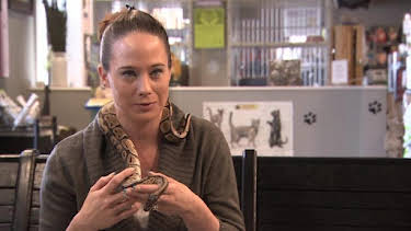 2:00 PM: Dr. Jeff: Rocky Mountain Vet (S4) | Discovery Channel | 4/10 2026