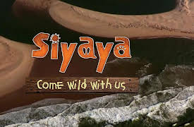 Siyaya – Come Wild With Us: Search for the Big Seven Part 3: Whale of a Time