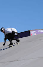 Bob Burnquist as 