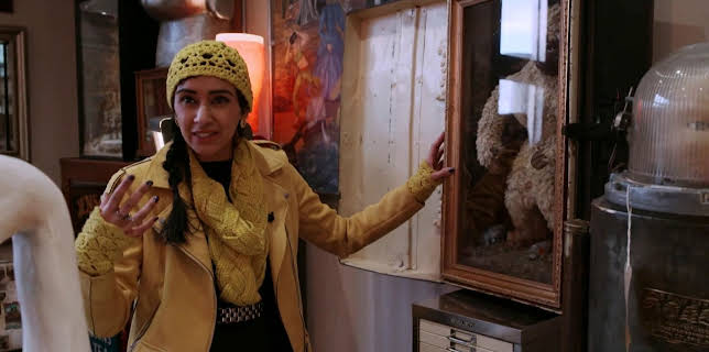 15:35: Antiques Road Trip (S24 E11) (S24) | TV8 | 10/15 2025