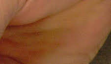 Así se hace (MAX): Bolígrafos espaciales/Acuarios de arrecife/Ataúdes de metal