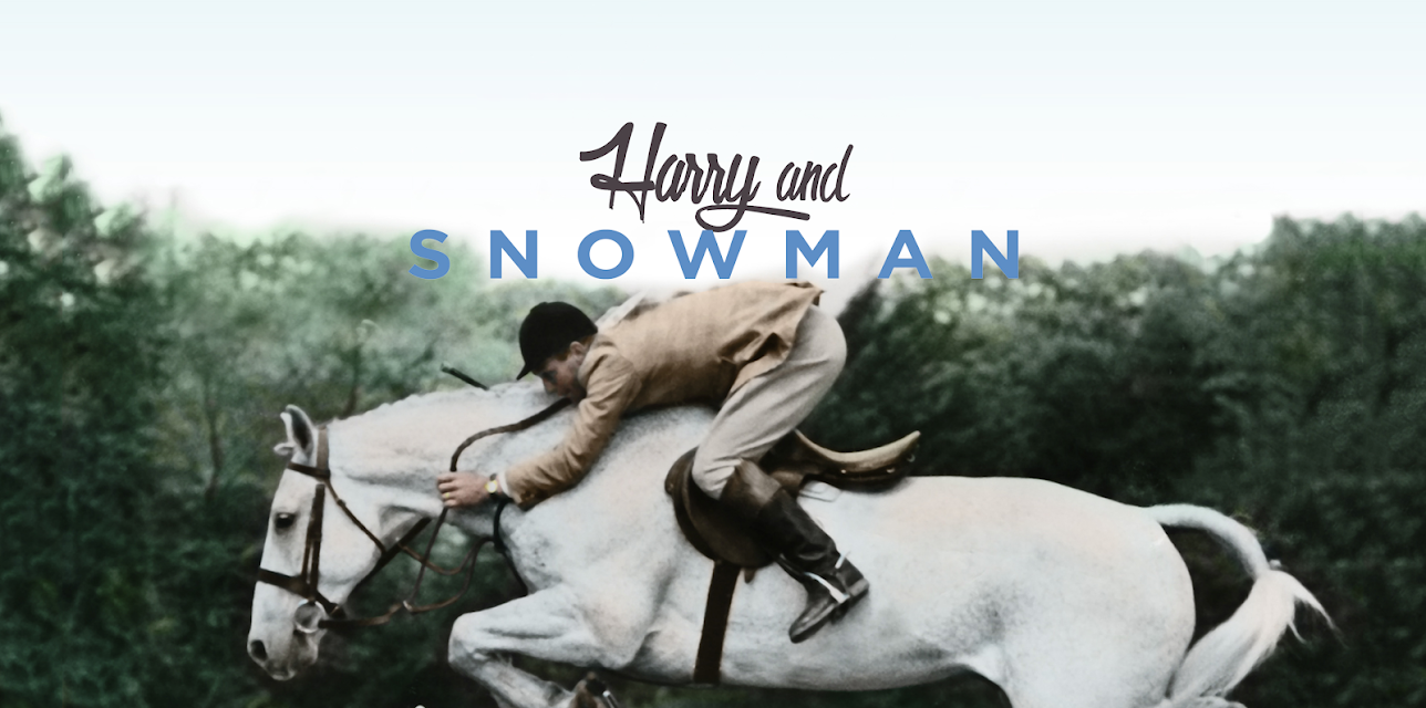 Harry & Snowman (2016)