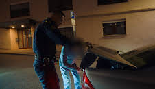 Polishundarna Norge (S1 E8)