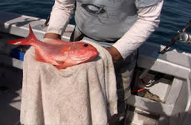 Gone Fishin S4: Extreme Measures...Maria van Dieman