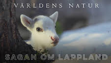 Världens natur: Sagan om Lappland