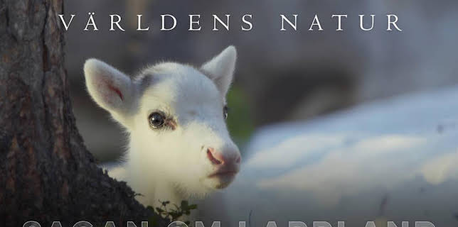 Världens natur: Sagan om Lappland