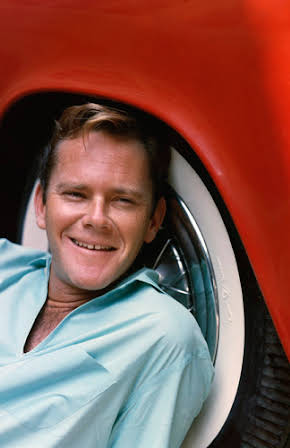 Dick Sargent as 