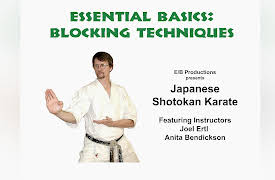 Shotokan Karate: Essential Basics, Volume One: Essential Shotokan Basics: Blocking Techniques