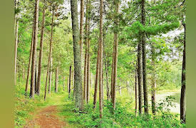 The Wonders of America's State Parks: State Parks along the Mighty Mississippi