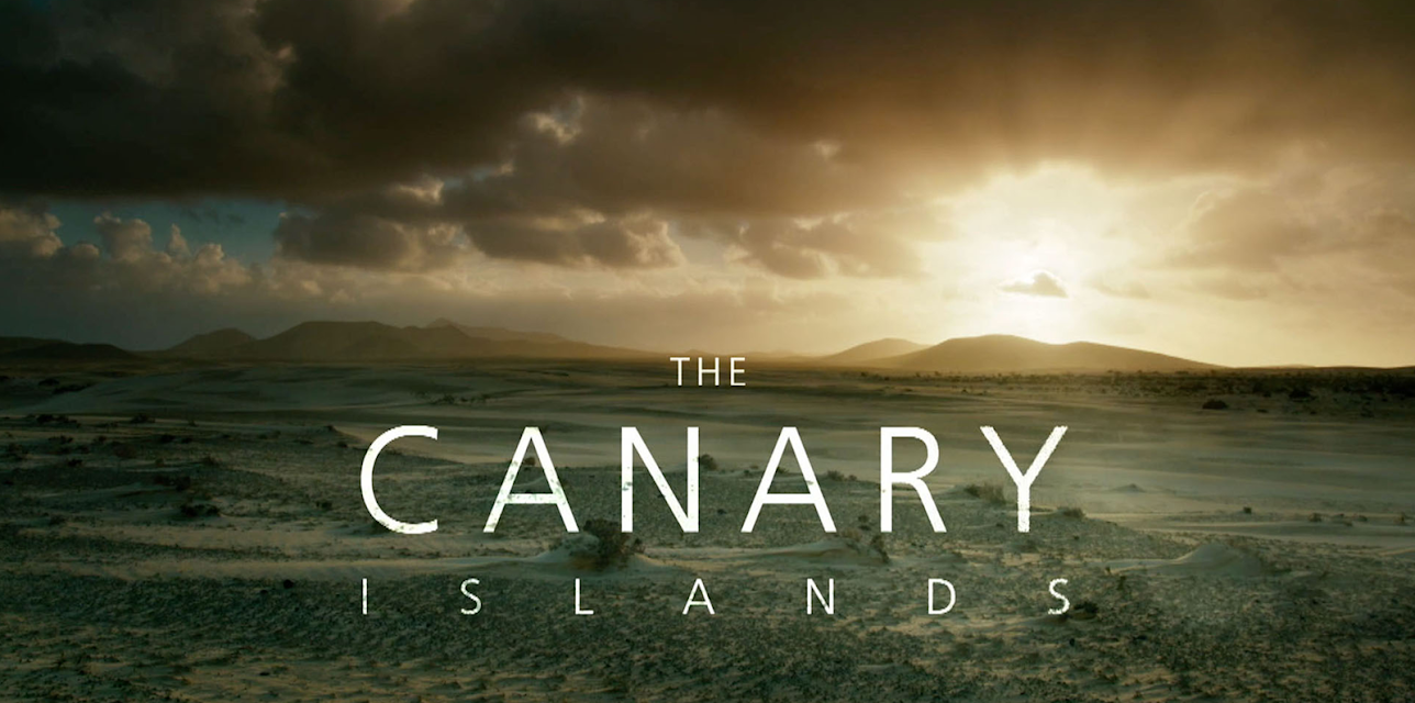 The Canary Islands