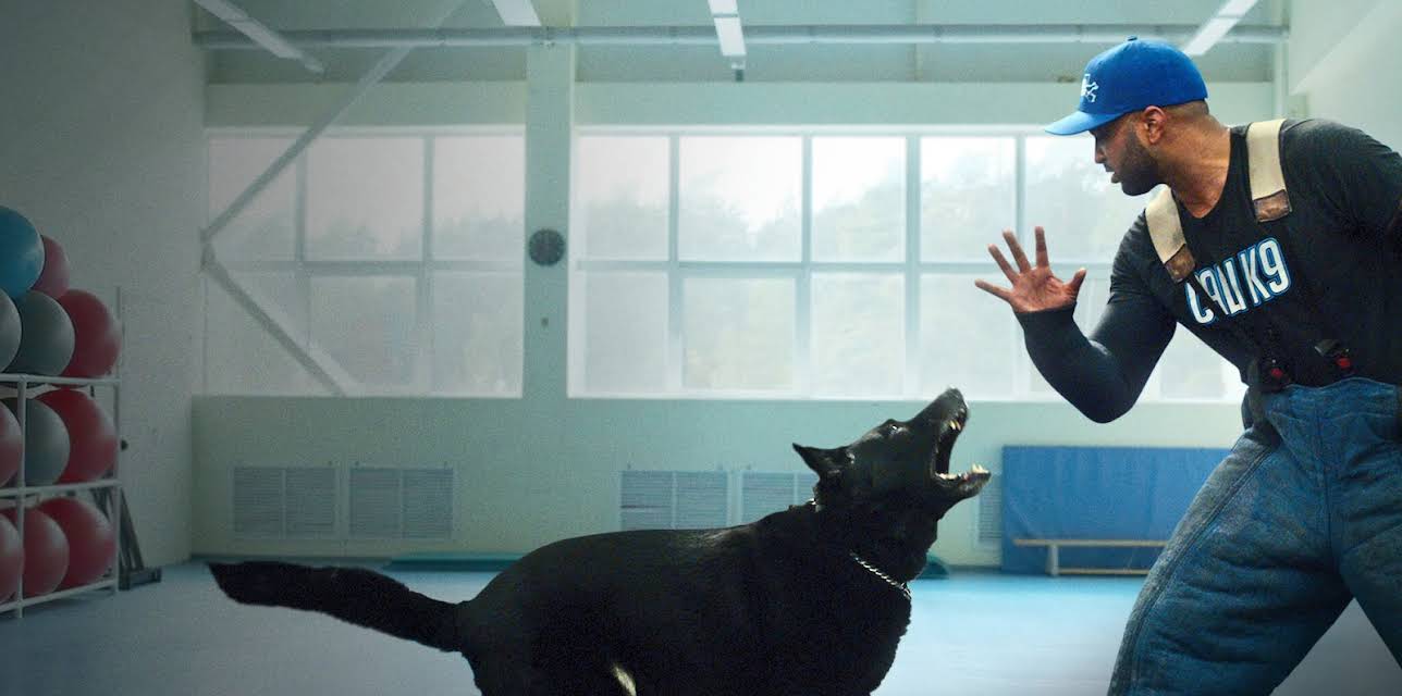 Canine Intervention