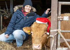 Land & lecker im Advent
