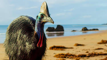 6:00 PM: Seven Worlds, One Planet (S1) | BBC Four | 3/30 2026