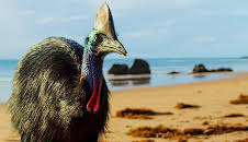 Seven Worlds, One Planet