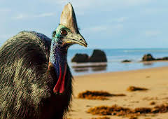 Seven Worlds, One Planet