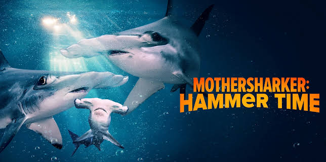 Mothersharker: Hammer Time