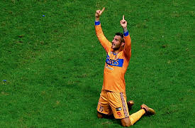 Tigres: La historia perfecta season-1: Tigres: La historia perfecta - Perfil Tigre