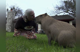 My Crazy Obsession Season 1: Airline Addicts & Crazy for Capybaras