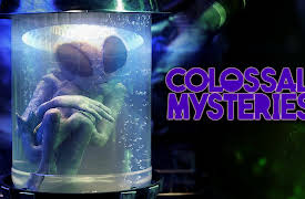 Colossal Mysteries 2019 S1: The Truth of the Bermuda Triangle