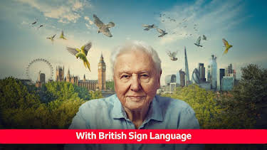 8:05 AM: Wild London - Signed | BBC Two | 1/2 2026