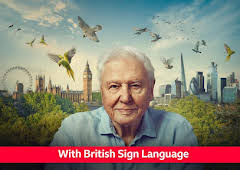 Wild London - Signed