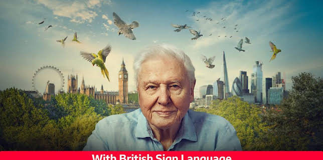 7:05 AM: Wild London - Signed | BBC Two | 1/2 2026