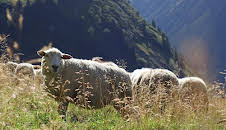 natur exclusiv