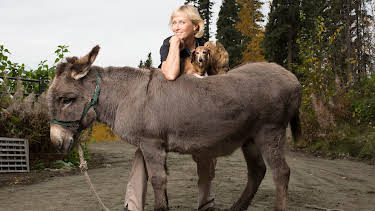 09:30: Dr. Dee: Alaska Vet (S1 E7) (S1) | Animal Planet | 12/27 2025