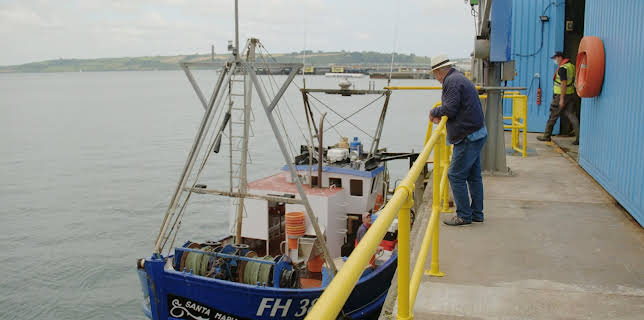 6:00 PM: Rick Stein's Cornwall (S2 E14) (S2) | Dave | 12/1 2025