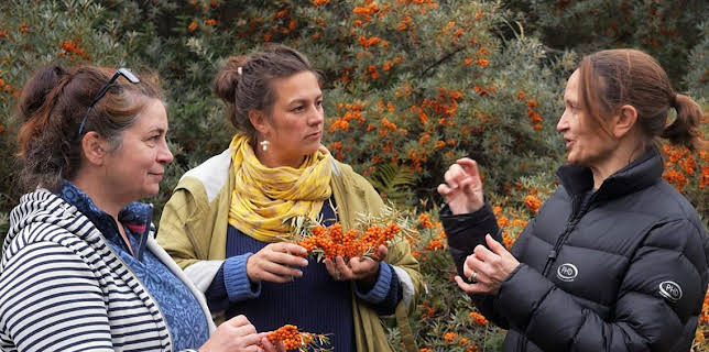 11:00 PM: Rurachd (Foraging) (S1 E3) (S1) | BBC Alba | 11/1 2025