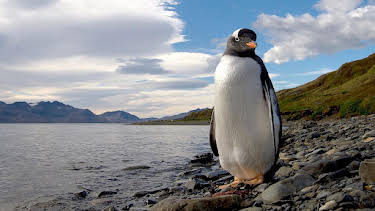 16:20: Grandes Documentales Islas | LA 2 | 6/10 2026