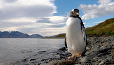 Documental  Islas