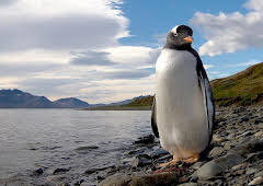 Documental Islas