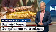 hessenschau