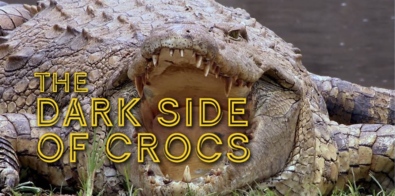 Dark Side of Crocs