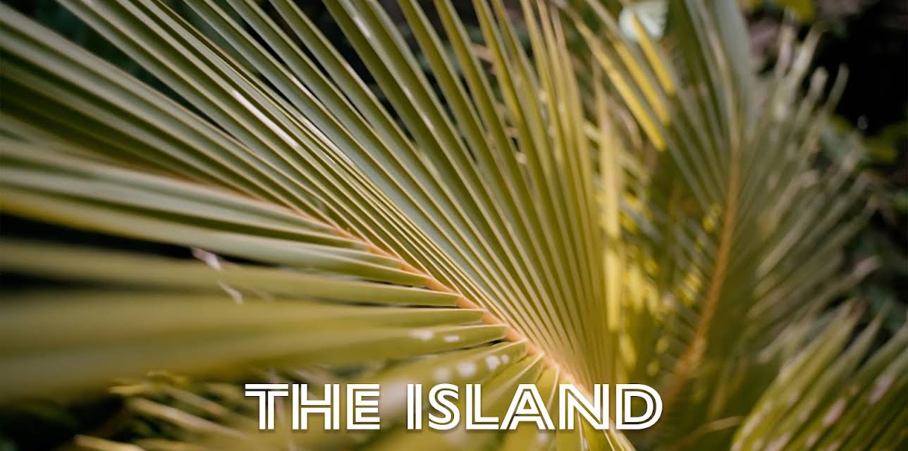 The Island Diaries