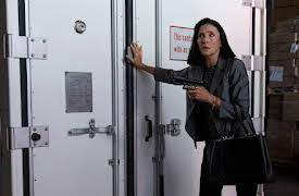 Bosch: Legacy Season 1: Chain of Authenticity