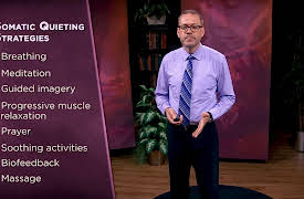 Cognitive Behavioral Therapy for Daily Life: Advanced Behavioral Techniques