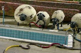 Shaun the Sheep Series 1: Bath Time